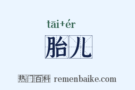 胎儿是什么意思的图片